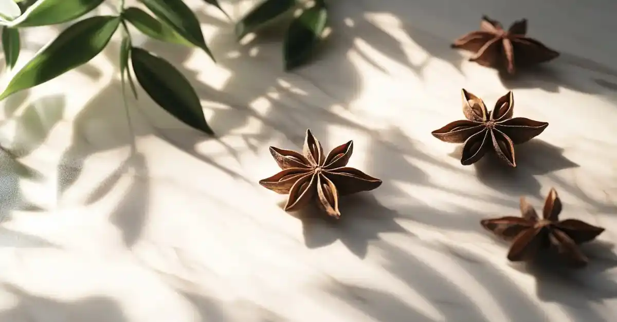 Whole star anise pods on a white marble surface with soft shadows and clean design elements.